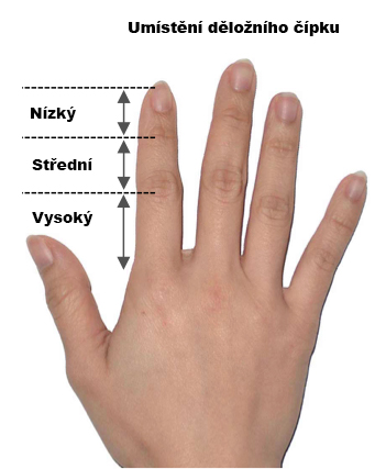 delozni_cipek_popis